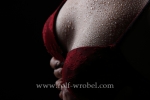 Rolf Wrobel - Akt Erotik Dessous - 26405