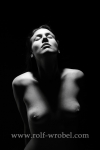 Rolf Wrobel - Akt Erotik Dessous - 26532